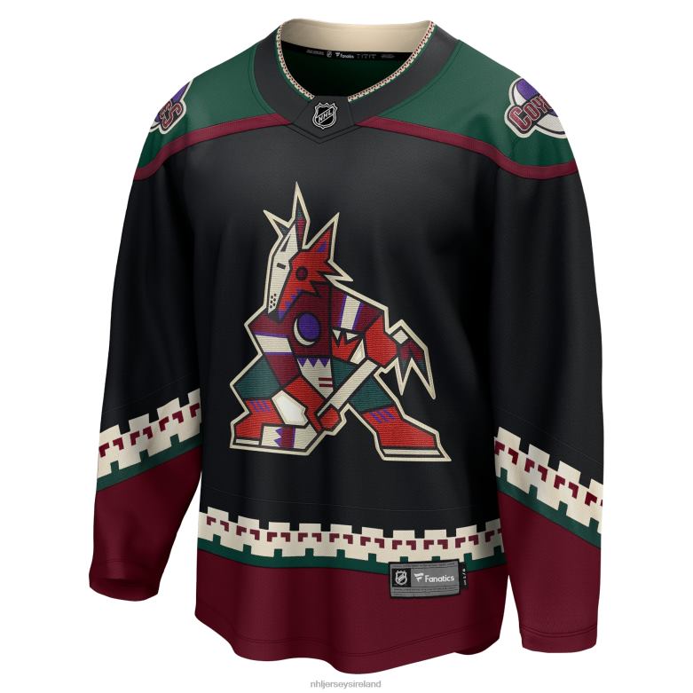 NHL Men Arizona Coyotes Fanatics Branded Black 2021/22 Home Breakaway Jersey D002V368 Clothing