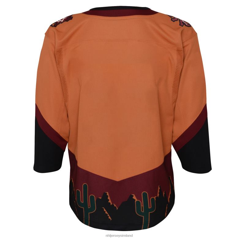 NHL Youth Arizona Coyotes Burnt Orange Special Edition 20 Premier Blank Jersey D002V666 Clothing