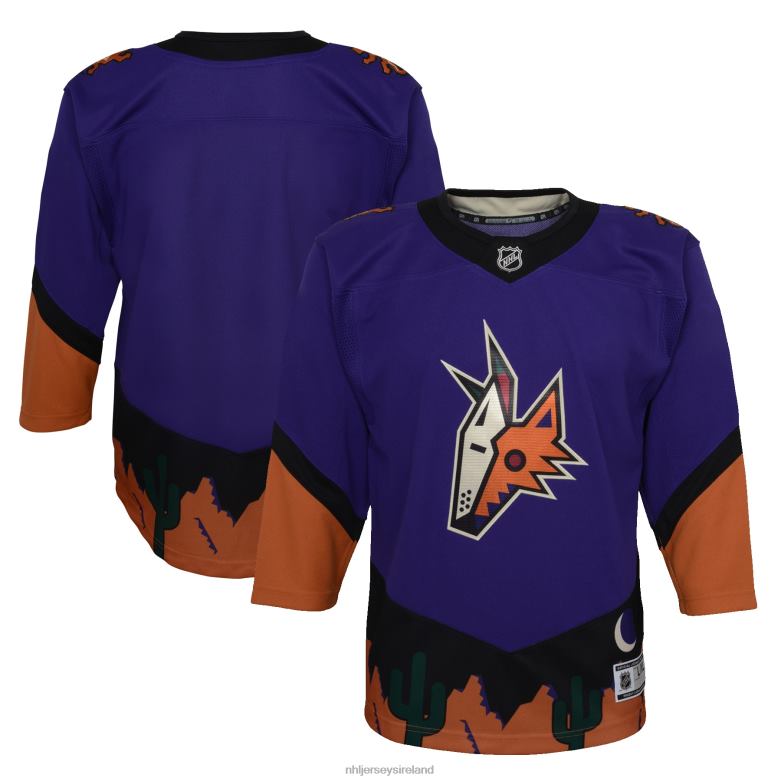 NHL Youth Arizona Coyotes Purple 2020/21 Special Edition Premier Jersey D002V1472 Clothing