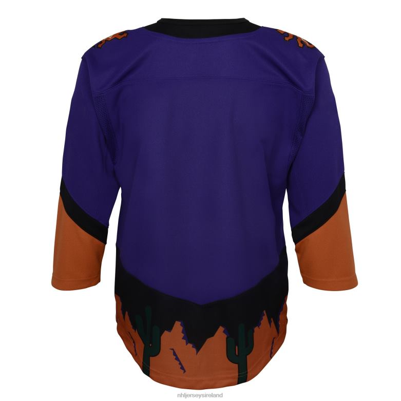 NHL Youth Arizona Coyotes Purple 2020/21 Special Edition Premier Jersey D002V1472 Clothing