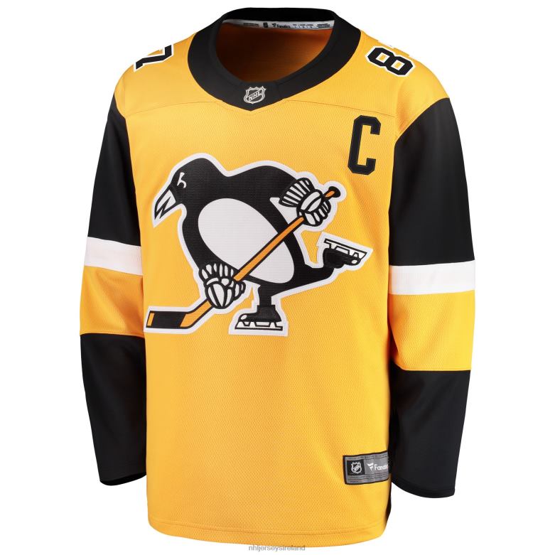 NHL Youth Pittsburgh Penguins Sidney Crosby Fanatics Branded Gold Alternate Breakaway Player Jersey D002V568 Clothing