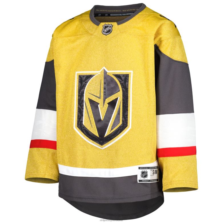 NHL Youth Vegas Golden Knights Gold 2021/22 Alternate Premier Jersey D002V252 Clothing