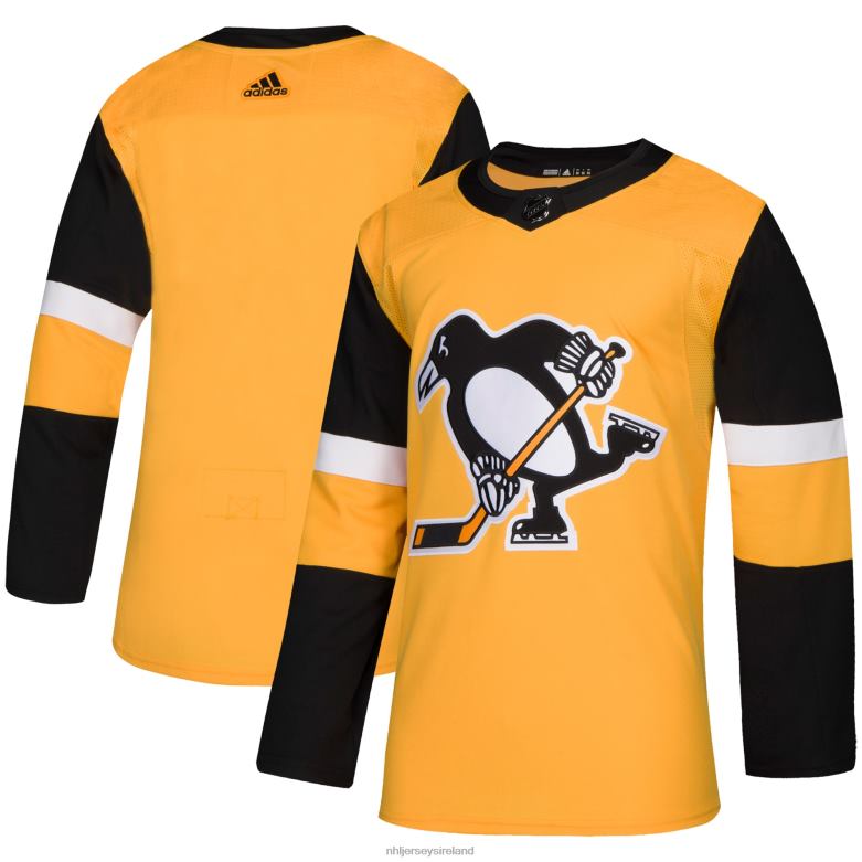 NHL Men Pittsburgh Penguins Adidas Gold Alternate Authentic Jersey D002V1265 Clothing